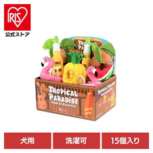 gsJp_CXBOXZbgi15j p ybgp pʂ V vȂ  Ɋ΂ v[g i fUC [