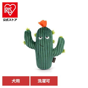 u[~OofB[Y JN^X p ybgp pʂ V vȂ  Ɋ΂ v[g i fUC [N