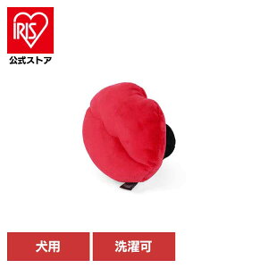 uoO bv p ybgp pʂ V vȂ  Ɋ΂ v[g i fUC [N