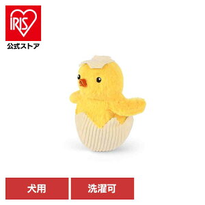 sbseBzbseB nb`O`bN p ybgp pʂ V vȂ  Ɋ΂ v[g i fUC [N