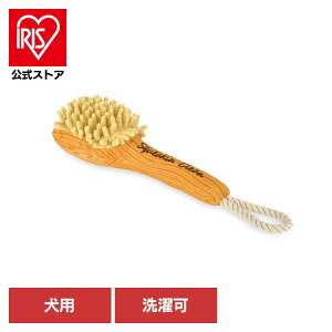 XvbVXvbV {fBuV p ybgp pʂ V vȂ  Ɋ΂ v[g i fUC [N