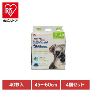 y4zlIV[cZu Ch40 3630447ybgpi ybgV[c ^ L z  Ck  gC ЃR[`[