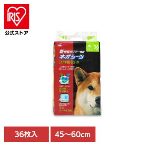 lIV[c RX Ch36 3630473ybgpi ybgV[c ^ L z  Ck  gC ЃR[`[