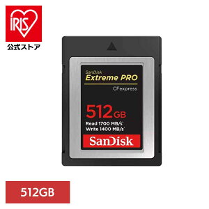SanDisk GNg[ v CFexpress Type B J[h 512GB SDCFE-512G-JN4NNSDJ[h 512GB sandisk TfBXN RpNg e f[^ۑ ϋv 掿 TfBXN