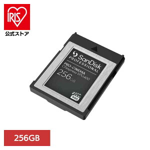 SanDisk Professional PRO-CINEMA CFexpress VPG400 Type-BJ[h 256GB SDPCVN4-256G-JNANNType BJ[h 256GB sandisk TfBXN RpNg e f[^ۑ ϋv 掿 TfBXN