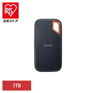 SanDisk GNXg[ |[^uSSD 1TB SDSSDE61-1T00-J25|[^uSSD 1TB sandisk TfBXN RpNg e f[^ۑ Be TfBXN