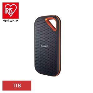 SanDisk GNXg[v |[^uSSD1TB SDSSDE81-1T00-J25|[^uSSD 1TB sandisk TfBXN RpNg e f[^ۑ Be TfBXN