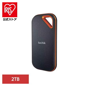 SanDisk GNXg[v |[^uSSD2TB SDSSDE81-2T00-J25|[^uSSD 2TB sandisk TfBXN RpNg e f[^ۑ Be TfBXN
