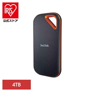 SanDisk GNXg[v |[^uSSD 4TB SDSSDE81-4T00-J25|[^uSSD 4TB sandisk TfBXN RpNg e f[^ۑ Be TfBXN