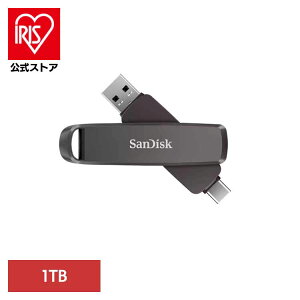 SanDisk Slim Dual Drive 1TB SDDDE1-1T00-J46|[^uSSD 1TB sandisk TfBXN RpNg e f[^ۑ Be TfBXN