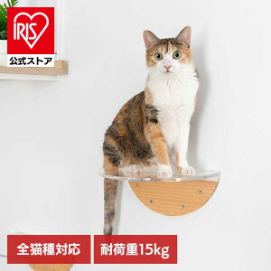 [�G���g���[�Ń|�C���g�ő�10�{/�X�^���v�����[]ROUNDLACK CLEAR MZ0020�L���b�g�E�H�[�N �L���b�g�X�e�b�v �L�p�i �y�b�g�p�i �L�Ƌ� �L�x�b�h �Ǌ|�� �y�b�g���� �X�P���g�� �����X�e�b�v ���ʊ�