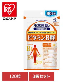 【3袋】ビタミンB群 120粒 ビタミン 美容 健康食品[2608]