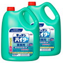 キッチンハイター 5kg 2個セット 業務用 大容量 洗剤 厨房 漂白剤 除菌 消臭 Kao 黒ずみ プロフェッショナル 塩素系 まとめ買い【iris_dl03】