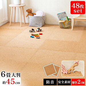 �_30%�|�C���g�o�b�N��22��9:59���^�W���C���g�}�b�g ���� 43.5cm 48�� �R���N�}�b�g �h�� �T�C�h�p�[�c�t�� �v���C�}�b�g �^�C���J�[�y�b�g �y�b�g �q�� �t���A�}�b�g COJTM-452�yiris_dl04�z
