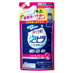 bNvXAs^gCXv[ N[VgX̍EH[^[[̍ ߂p 250ml As^ gC  A ECX 60b lւ bN+ CI