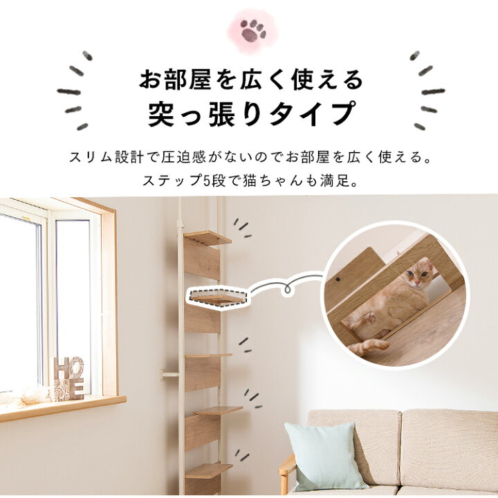 楽天市場】キャットタワー 突っ張り 木製 キャットステップ ライト 