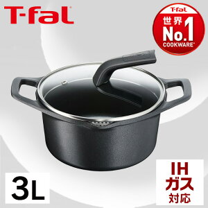 LXgC A} v V`[|bg  20cm KXWt E25144  y g₷ ~M A~ T-fal eBt@[