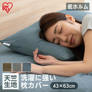 yzJo[ 43×63cm 43×63 V k  􂦂 Vv PWC-TCK4060 Jo[ ܂  s[P[X s[Jo[