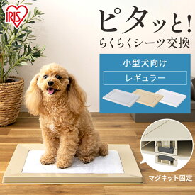 【公式】ペット トイレ 犬 トイレ 犬トイレ トイレトレーニング トレー ペットシーツ ペットトイレ アイリスオーヤマ レギュラー イヌ 犬用 小型犬 おしゃれ シンプル SQDT-482R