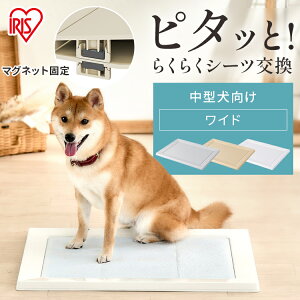  gC gC gCg[jO g[ ybgV[c ybggC ACXI[} Ch Ck p ^  Vv SQDT-616W