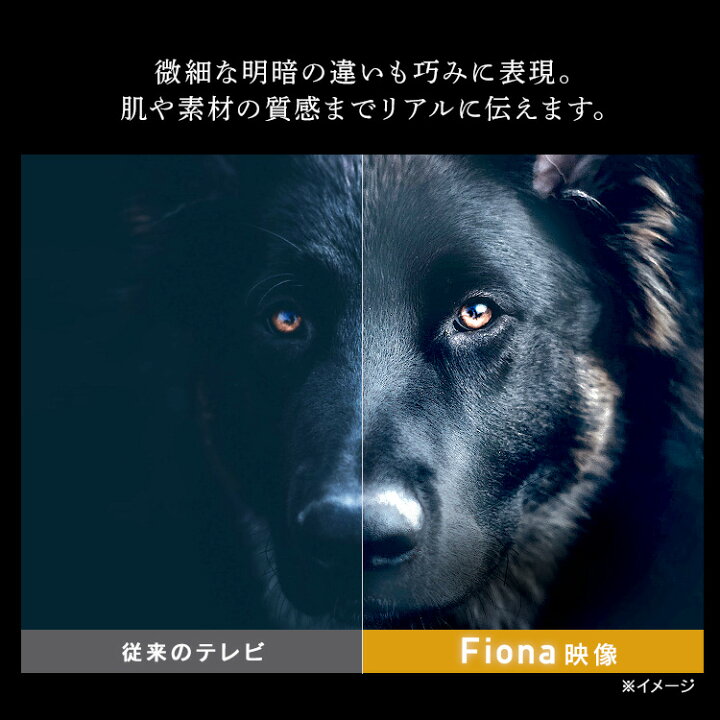 楽天市場】テレビ 4K対応液晶テレビ 43V型Fiona 43UB10PC ブラック 