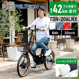 電動自転車 おしゃれ 20インチ 外装6段 8AH 自転車 折りたたみ 電動アシスト自転車 ノーパンク 軽量 PELTECH TDN－206LN－R 代引不可