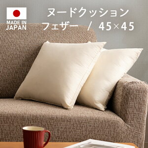 NbV ʋC tFU[ tFU[k[hNbV  \t@ 45×45yiris_dl04z