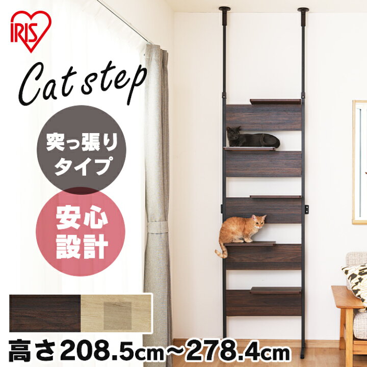 楽天市場】キャットタワー 突っ張り 木製 キャットステップ ライト 