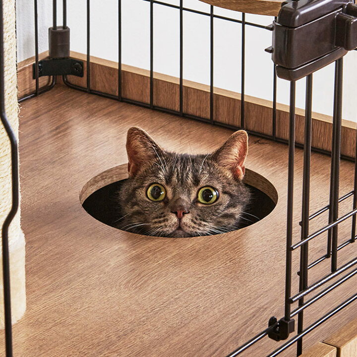 楽天市場】【公式】猫 ケージ 2段 コンパクト 隠れ家キャットランド 
