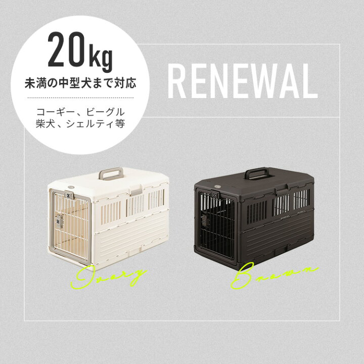 楽天市場】＼20%ポイントバック☆彡〜7/28 9:59迄／＼リニューアル 
