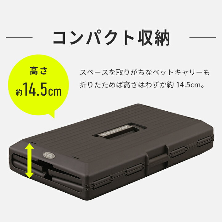 楽天市場】＼20%ポイントバック☆彡〜7/28 9:59迄／＼リニューアル 