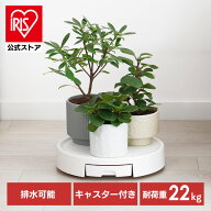 鉢置き キャスター付き 10号 鉢台 植木鉢台 キャスター付き 排水トレー付き プラントムーバー 植木鉢トレ…