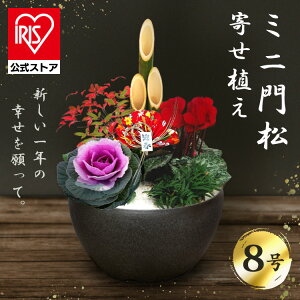 ~j叼񂹐A(|bgd) 񂹐A 叼 |bg  N_l} N_lڈ ܍L ƓS ւʂ yTDz ysz