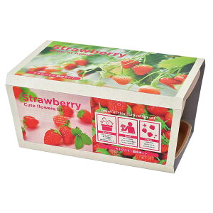 GWCv^[ GD-1044 GD-93101 GD-93102 GD-93201͔|Lbg ͔|Zbg J[v^[ V| SEISHIN ~j؉ Ă   C`S ܂ ~jg}g ~jq}