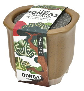 The BONSAI ͔|Zbg GD-99201 GD-99202͔|Lbg ͔|Zbg  ܂ V|  蕨 SEISHIN Mtg  ԏ