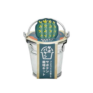 �_20%�|�C���g�o�b�N��22��9:59���^�T�{�o�P�c�͔|�L�b�g GD-103401 GD-103402 GD-103403�͔|�L�b�g �͔|�Z�b�g �T�{�e�� ���V���| SEISHIN �u���L���o�P�c �킩���Ă� �M�t�g �ۃT�{�e�� ���T�{�e�� 