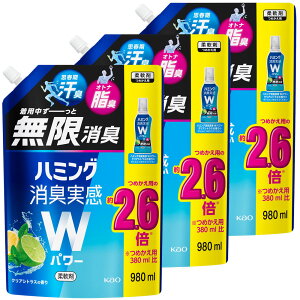 y3Zbgz_ _dグ ԉ L n~OLWp[ ߂p 980ml XpEg LEL lߑւp ܂Ƃߔ L  ԕubN _up[ KAO N