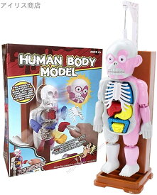 【送料無料】おもちゃ 人体模型 ハロウィンパーティーおもちゃ 恐怖!ドキドキクラッシュ ゾクッ人体模型 おもしろい理科教室 ホ