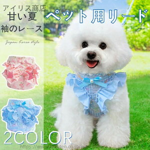 yzpn[lX [hZbgt sv vZXfUČpn[lX[hZbg ^p ӂDSn