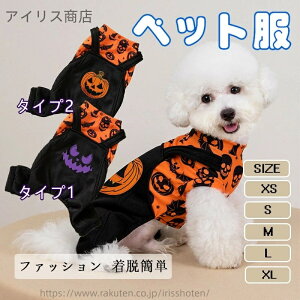 yzH~p nEB ybg VnEBRX`[ ڂ h  RX`[ RXv  Lp ybg RXv 