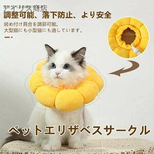 yzGUxXT[N LpGUxXJ[ \tgwbhJo[ trߖh~p㏝ی ppp GUxX 