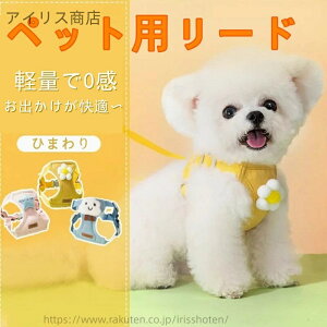 yz n[lX [h Zbg Ȃ  \ y wn[lX [hZbg fUC gCv[h rVt[[ |jA