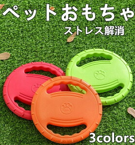 yzybgpi   tXr[ h[ic^ tCOfBXN    EVA y v XgX ^s