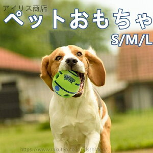 yzybgpi ybggC p  ݂ɂ ]Ɖ V n߂鎞 ^ ^ Sf ^s