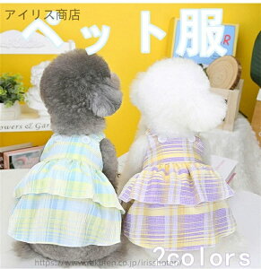 yzybg  Lp t  vZXXJ[g `FbN TXy_[t d˒ ^ efB gCv[h  ʋC