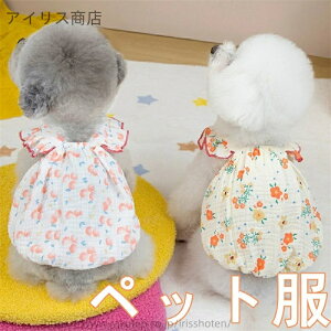 yzLp ybgpi ėp  XJ[g ȑf tCOX[u ^ Lp s[X efB |jA hX ʋC K