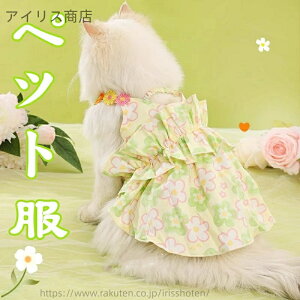 yzybg L ėp  LpXJ[g іh~ vZX ^ Lp ybg  Oh[ LphX K ʋC