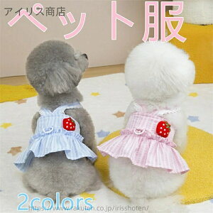 yz t ybgp L~\[ XJ[g z[t Xgx[fUC   n[lX J obNNX s[X