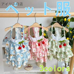 yzybgp t `F[ fCW[ P[LXJ[g TXy_[  s[X  hX ^ ^ ʋC K y 