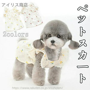 yzybg  s[X hbOEFA ^ ^ L `F[ ȑf t ėp  ʋC [Xt m[X[u ptX[u